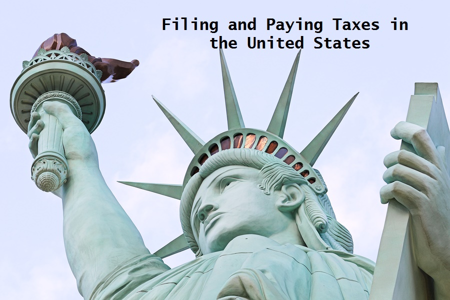 If you are working in the United States, you should expect to pay US income taxes.