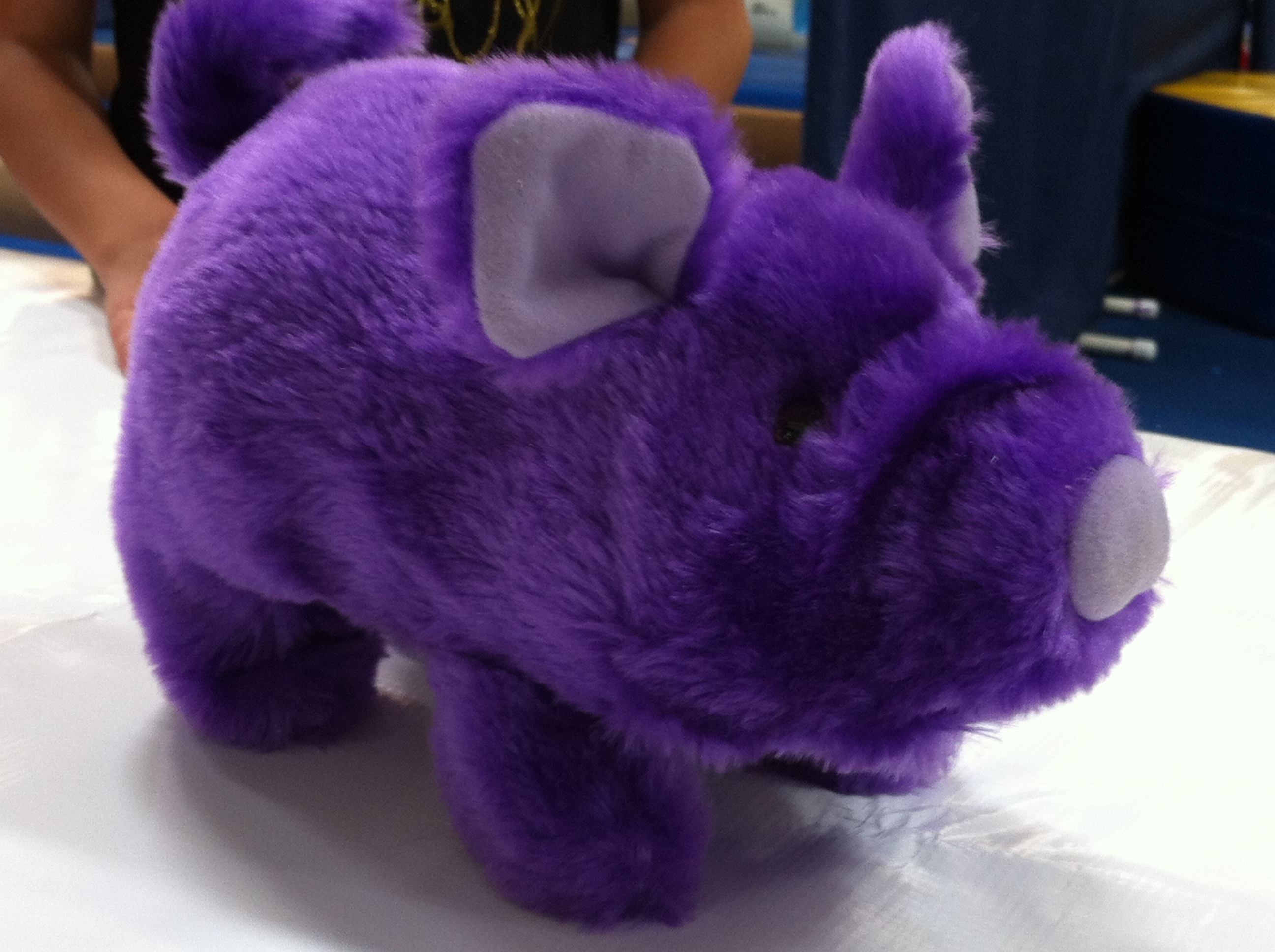 purple pig stuffed animal