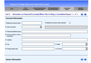 consolidated fbar account report